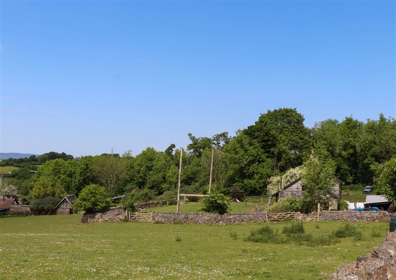 This is the garden at Buckleigh Lodge, Kingsteignton