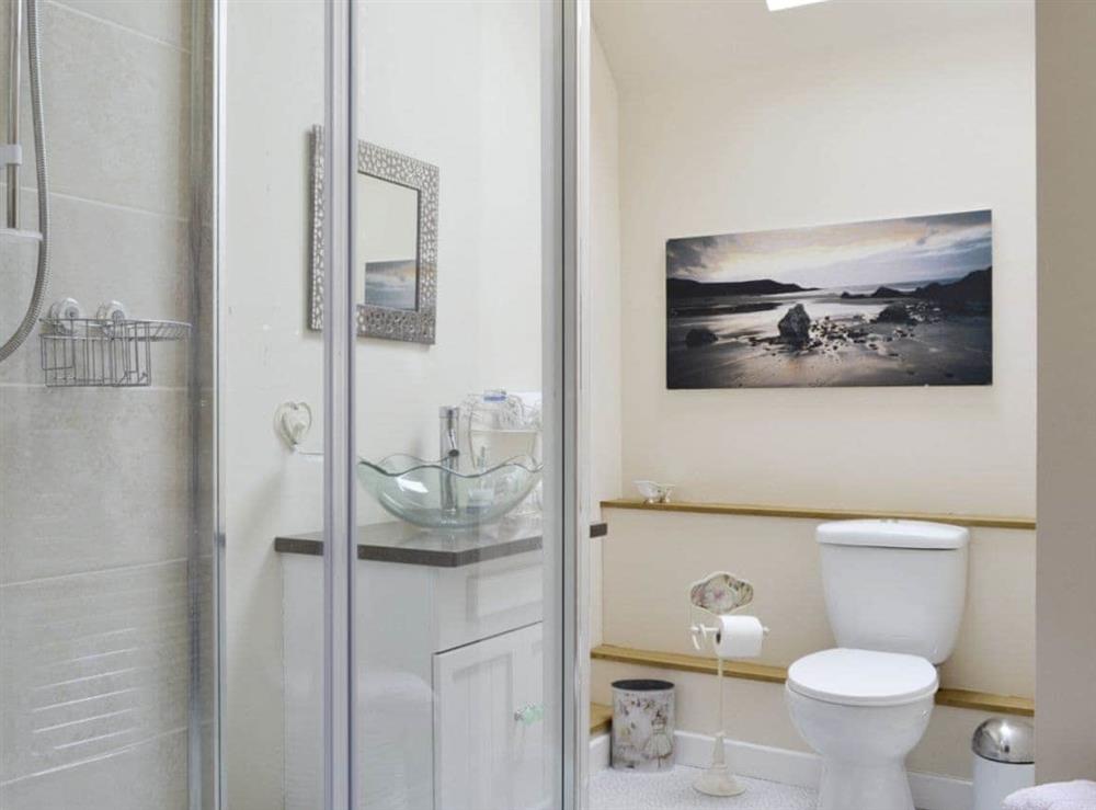Family bathroom with shower cubicle and toilet at Buddileigh Farm in Betley, near Crewe, Cheshire
