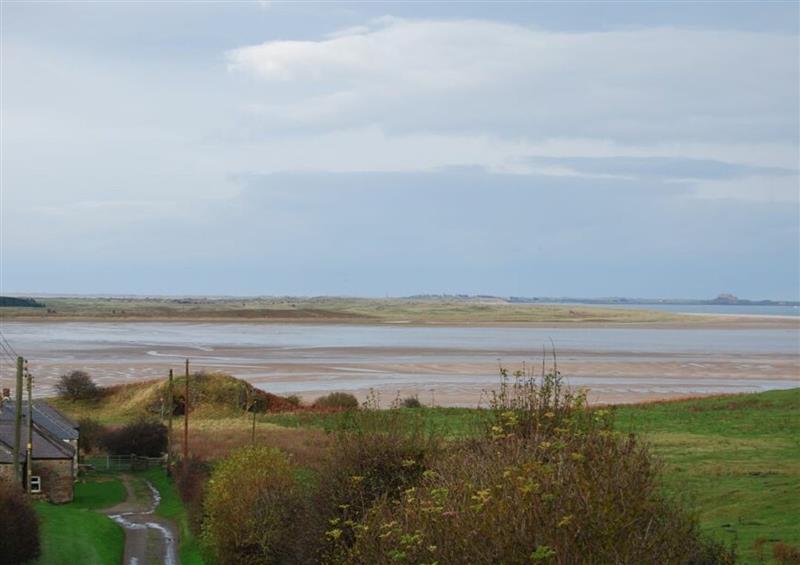 The area around Budle Bay Cottage