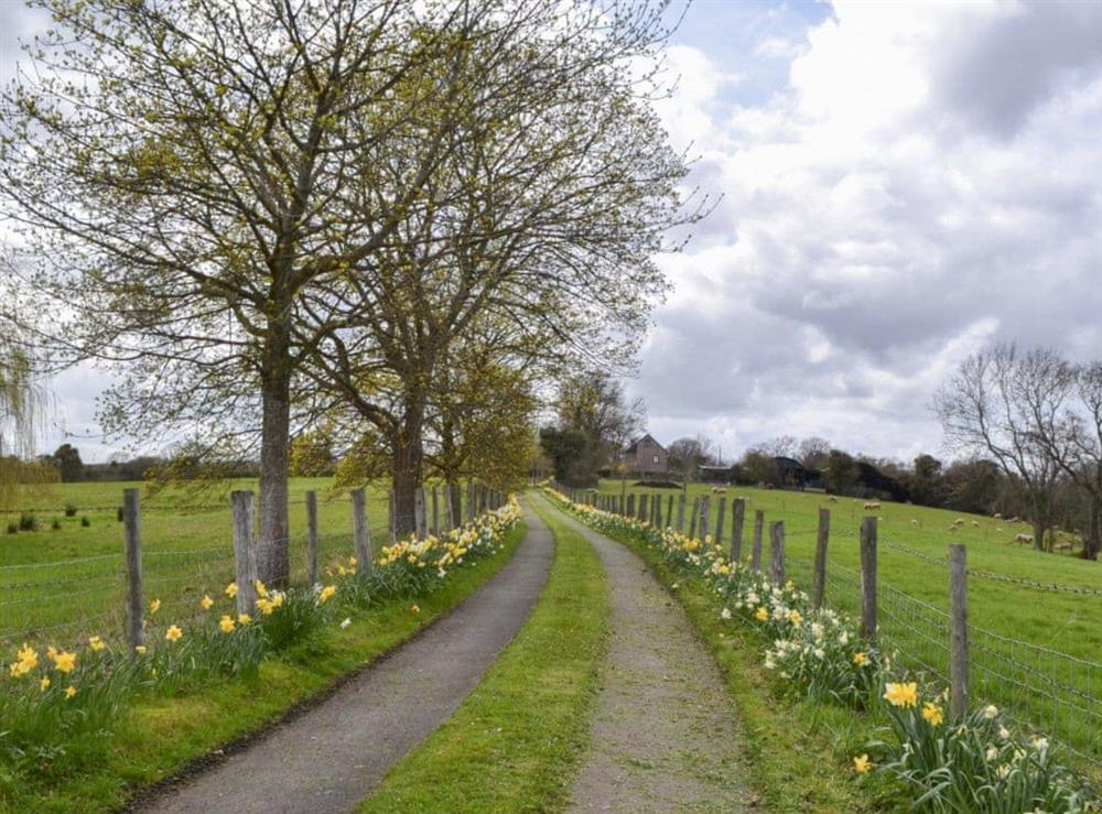 Explore the myriad county lanes and footpaths in the area at Bugatti House in Bosbury, near Ledbury, Herefordshire