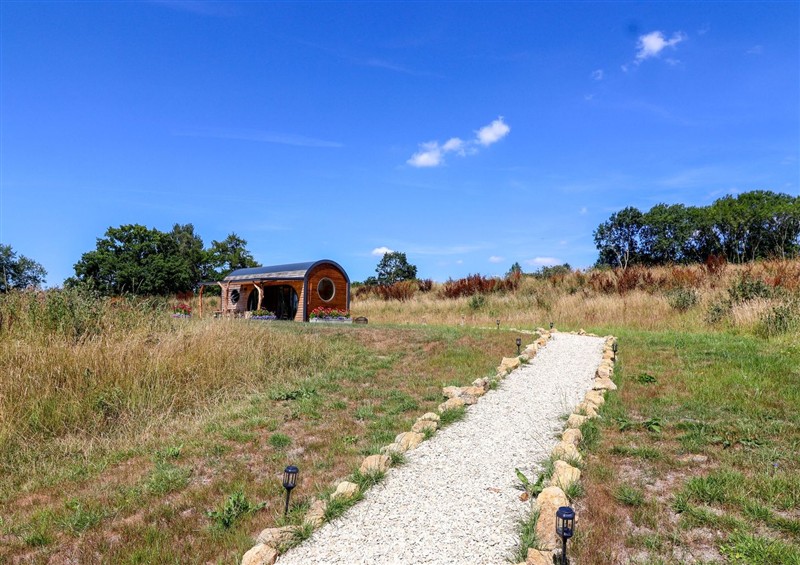 Enjoy the garden at Bugley Pools Hideaway, Bugley near Gillingham
