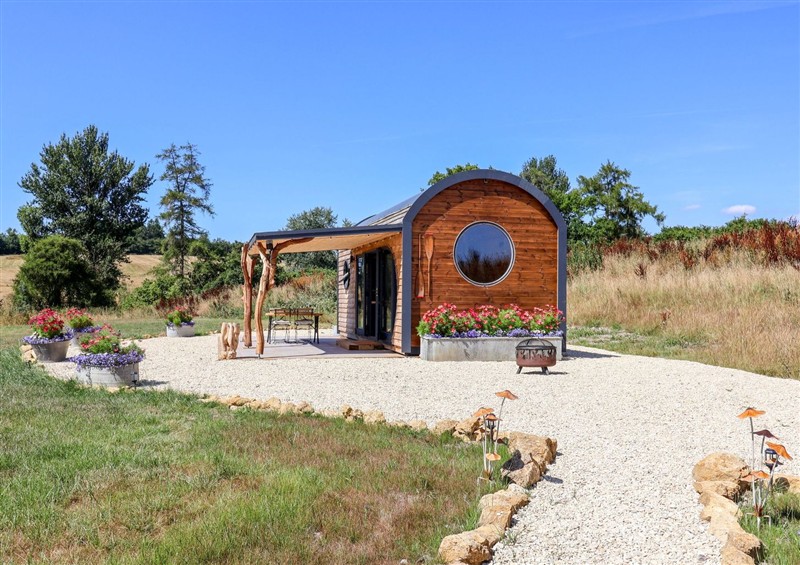 This is the garden at Bugley Pools Hideaway, Bugley near Gillingham