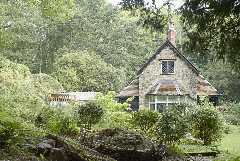 Secluded cottage surrounded by forestry   at Bull Hollow Cottage, Shrewsbury