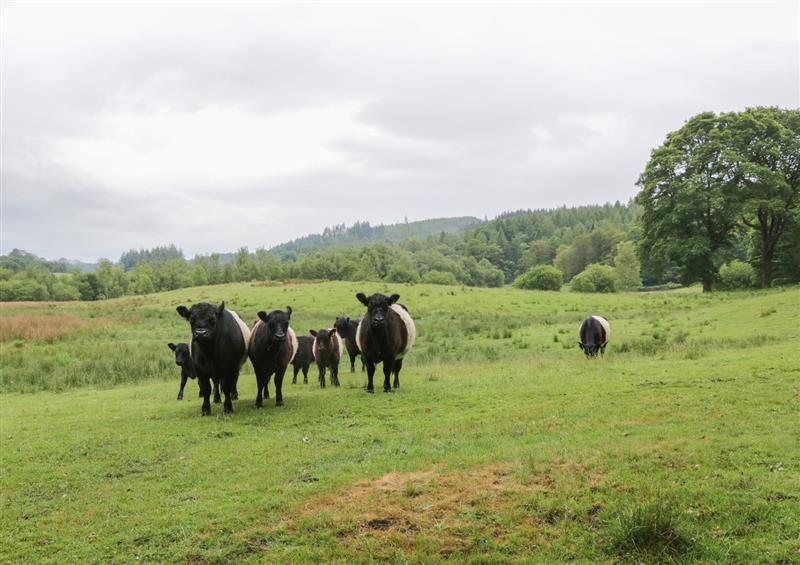 The setting of Bull Pen