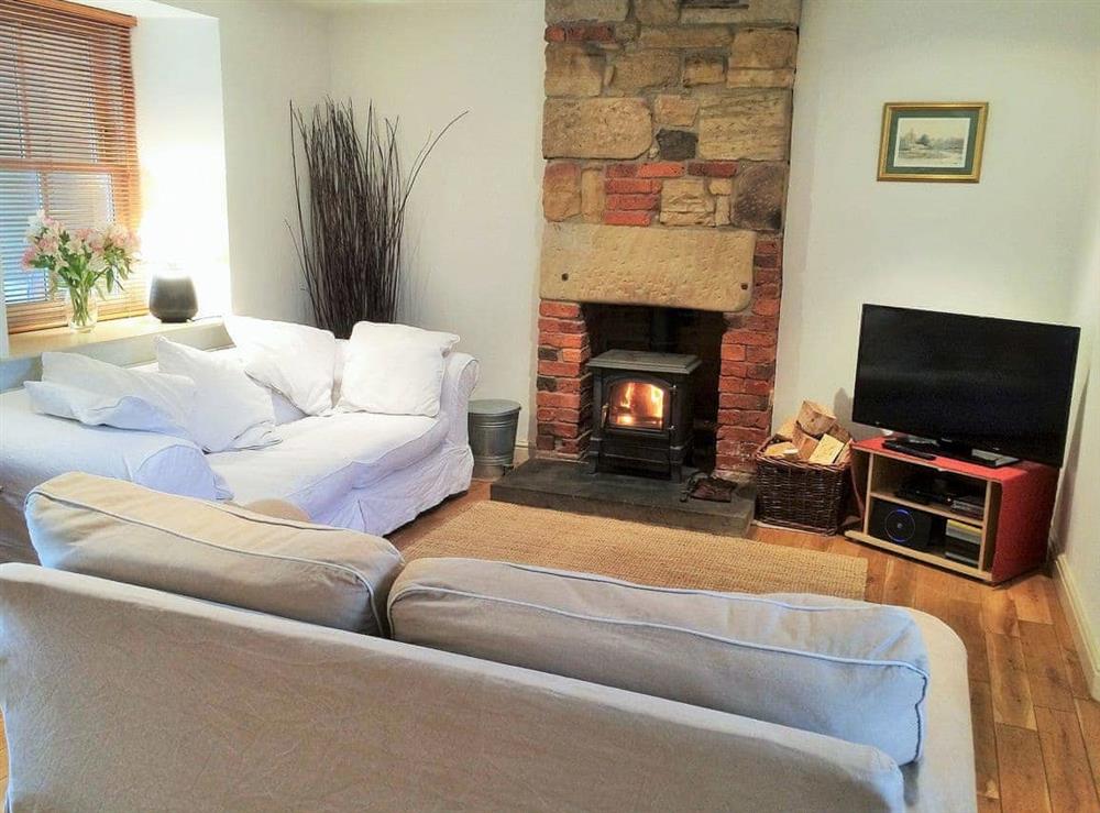 Relaxing seating with woodburning stove and TV at Bumble Cottage in Newton-on-the-Moor, Northumberland., Great Britain