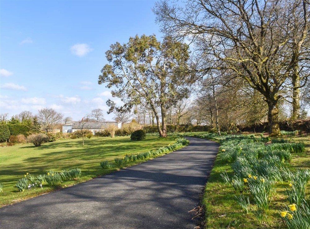 Surrounding area at Bumblebee Cottage in Inwardleigh, near Okehampton, Devon