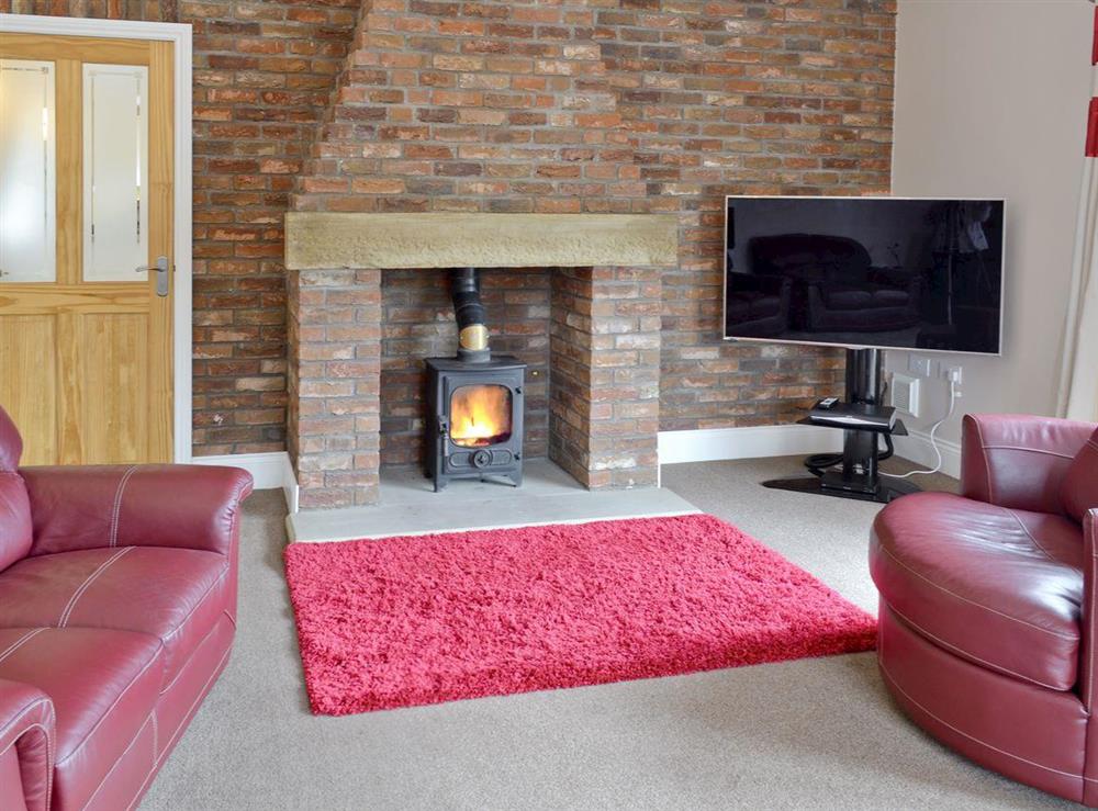 Stylish living room with wood burner at Bumblebee Cottage in Skipsea, near Hornsea, North Humberside