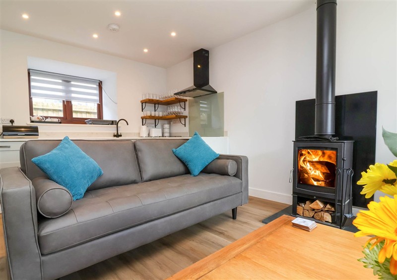 Enjoy the living room at Bumblebee Meadows, Parkham near Bideford
