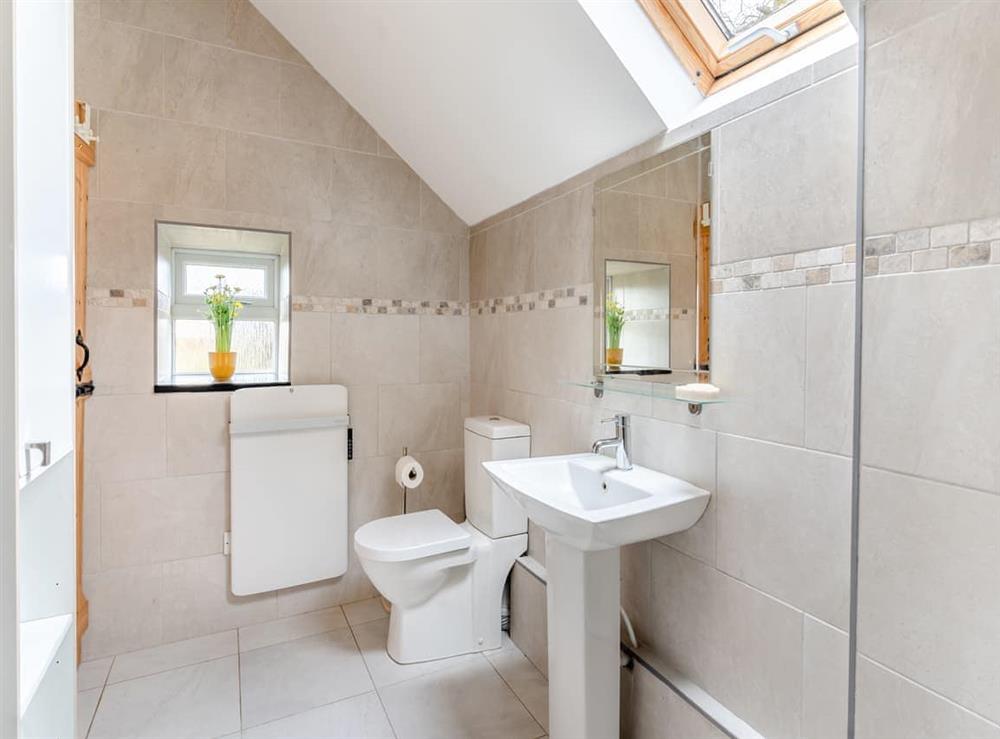 Bathroom at Bumpers  Stable in LlandyFan, near Ammanford, Dyfed