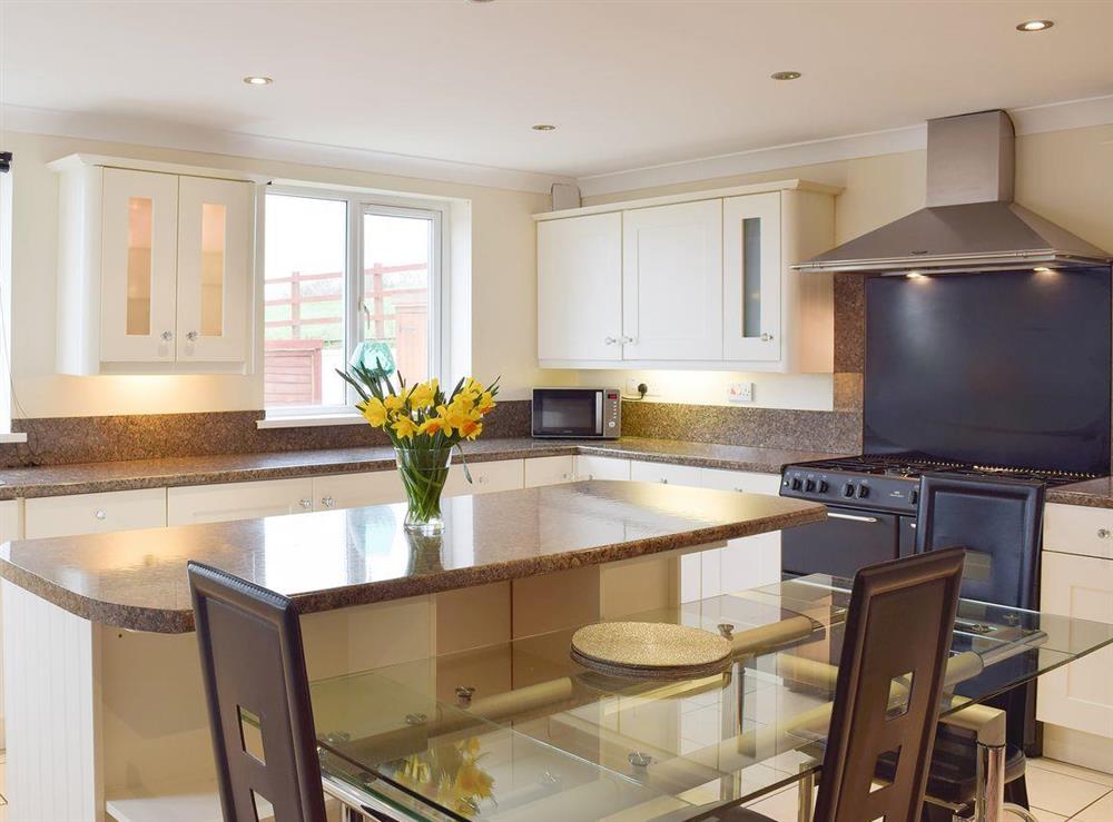 Beautiful and spacious kitchen/dining area at Bunny Meadows in Llangynog, near Llansteffan, Dyfed