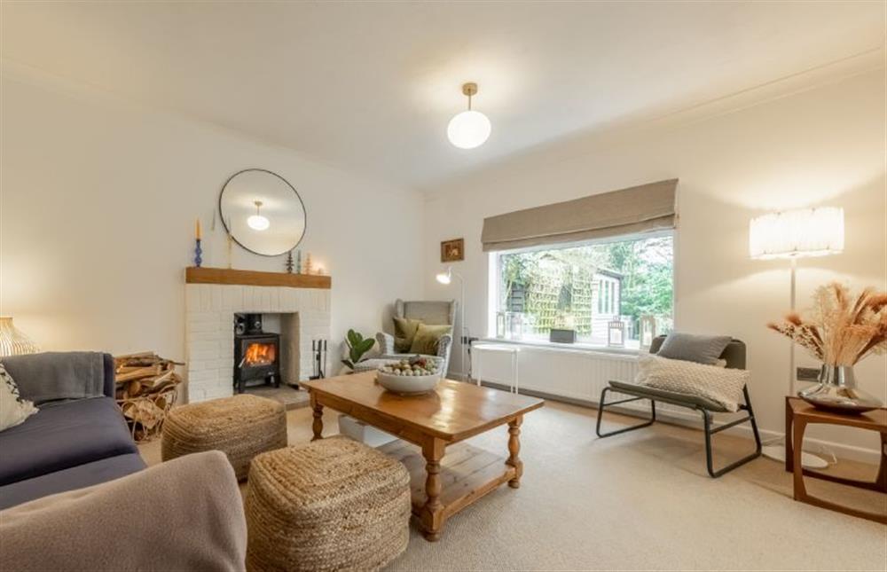 Ground floor: Sitting room with Smart television and wood burning stove at Bure Bank, Saxthorpe near Norwich
