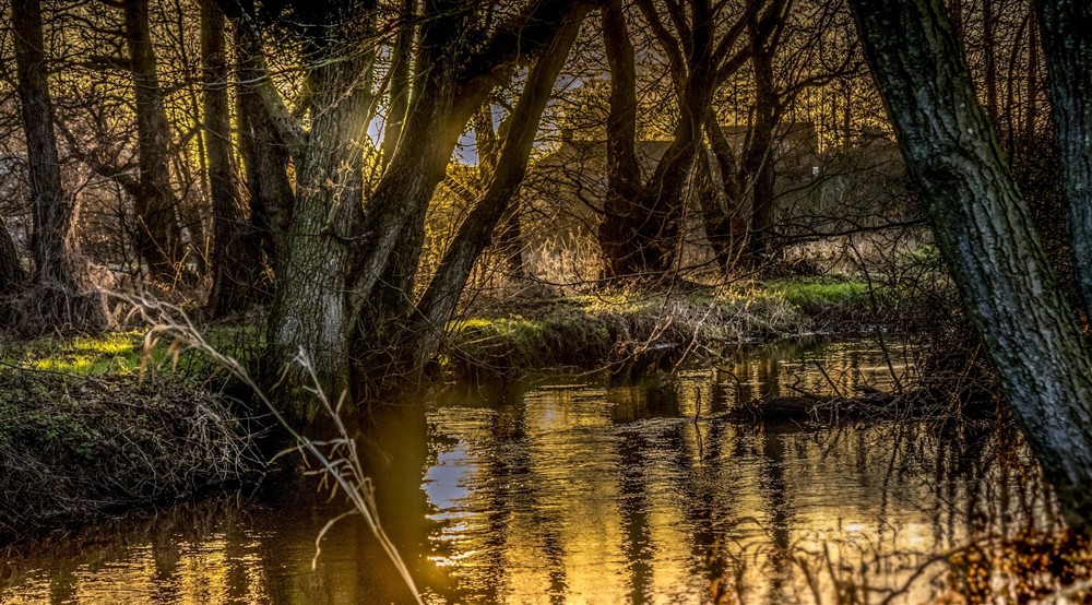 The area surrounding Bureside, Norfolk at Bureside in Norwich, Norfolk