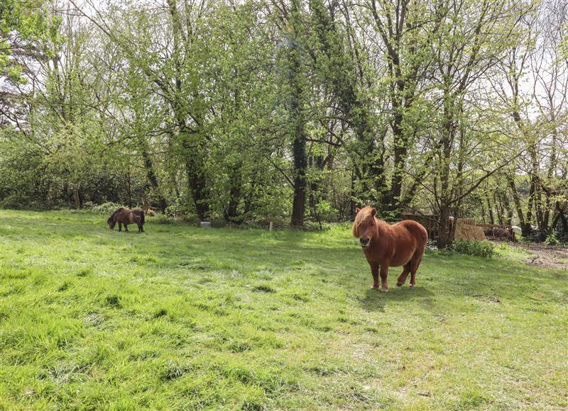 The setting of Burlodge