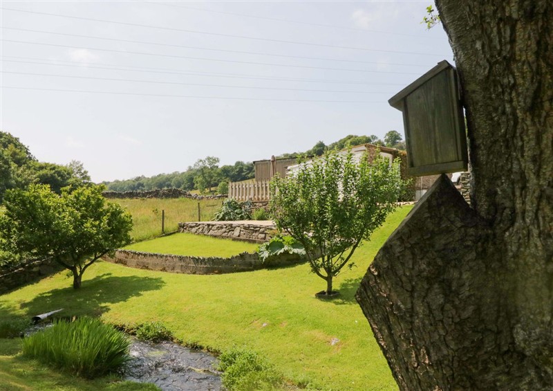 Enjoy the garden (photo 7) at Burnbank Cottage, Lindale near Grange-Over-Sands