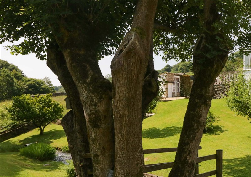 This is the garden (photo 4) at Burnbank Cottage, Lindale near Grange-Over-Sands