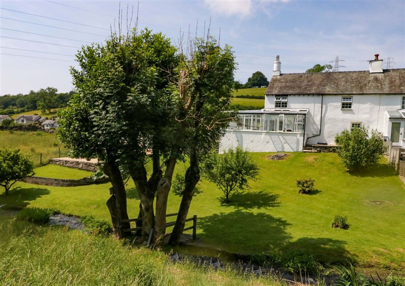 This is the garden at Burnbank Cottage, Lindale near Grange-Over-Sands