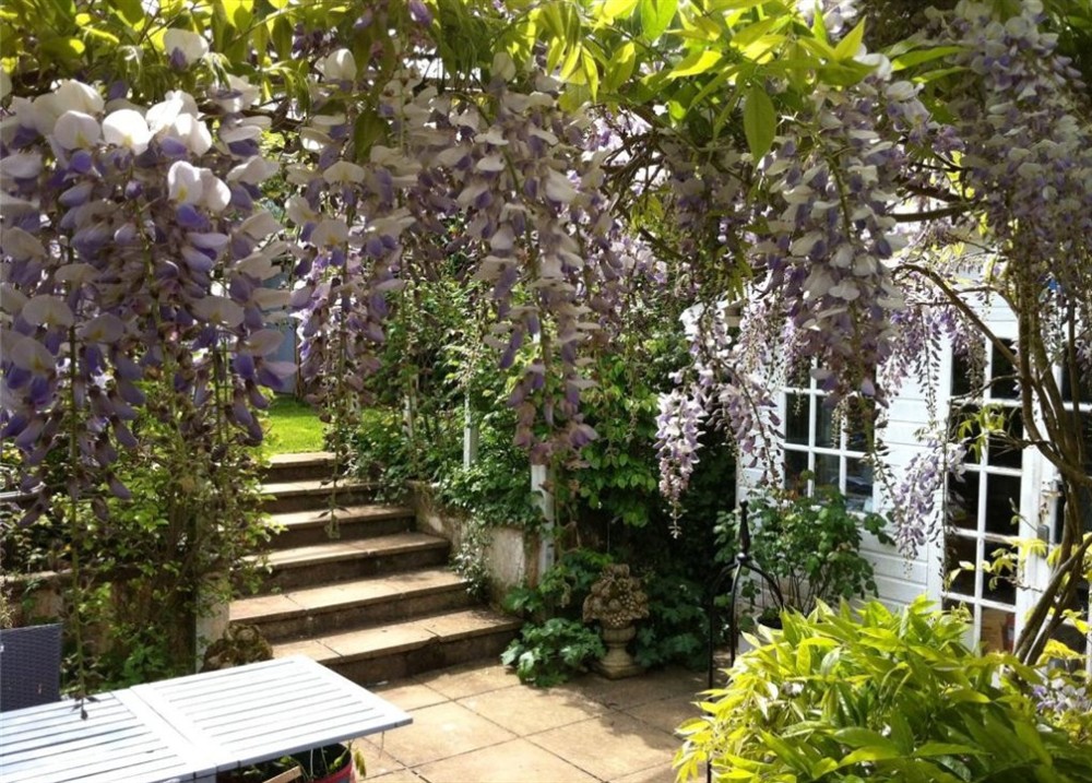The garden (photo 3) at Burnlee in Salcombe