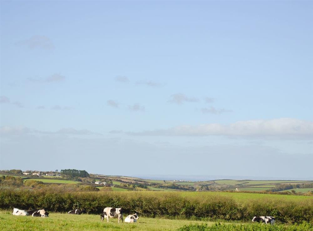 Lovely surrounding countryside views at Burnoon Barn in Helston, Cornwall