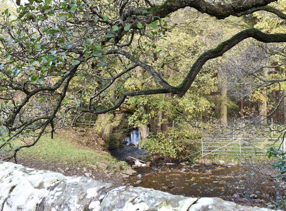 Surrounding area (photo 3) at Burnside Cottage in Bardon Mill, near Haltwhistle, Northumberland