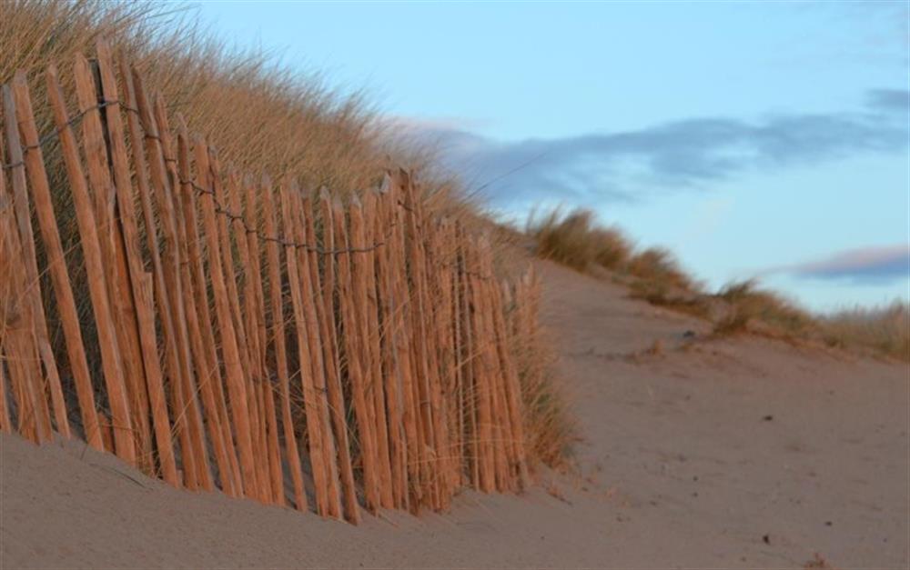 The sand dunes at Bantham at Burnt House in Bantham