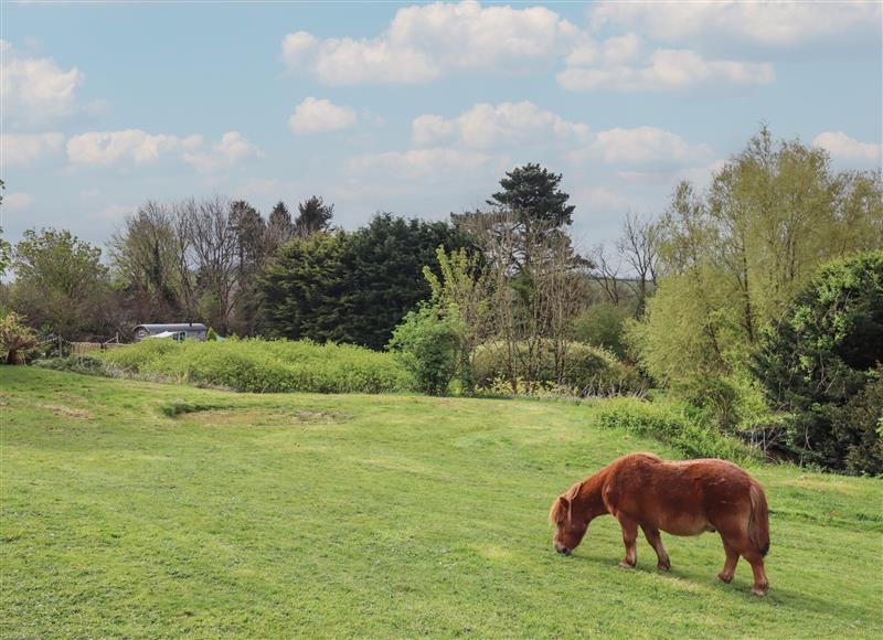 The setting of Burr 1 Shepherds Hut