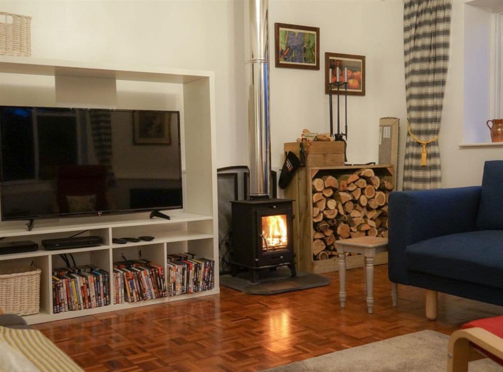 Living room with wood burner at Burrills View in Horderley, near Craven Arms, Shropshire
