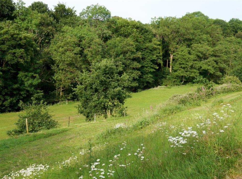 Riverfield 1 mins walk at Burrills View in Horderley, near Craven Arms, Shropshire