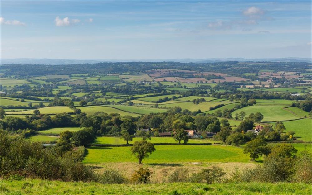 Countryside views at Burrow Hill Cottage in Honiton
