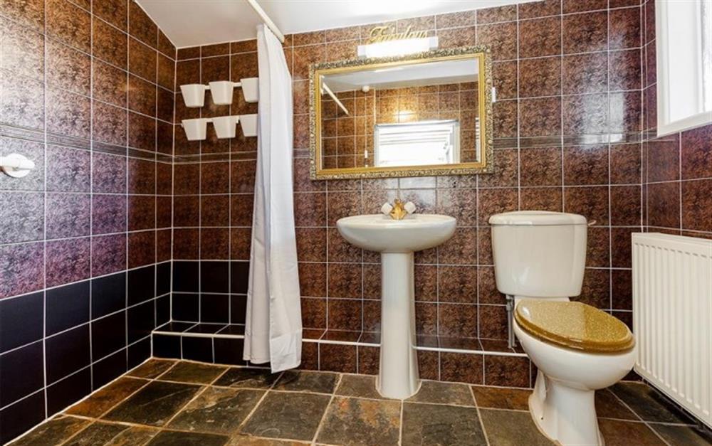 Large ground floor wetroom with shower w.c. and wash basin at Burrow Hill Cottage in Honiton