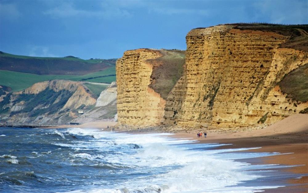The cliffs at Burton Bradstock at Burrow Hill Cottage in Honiton