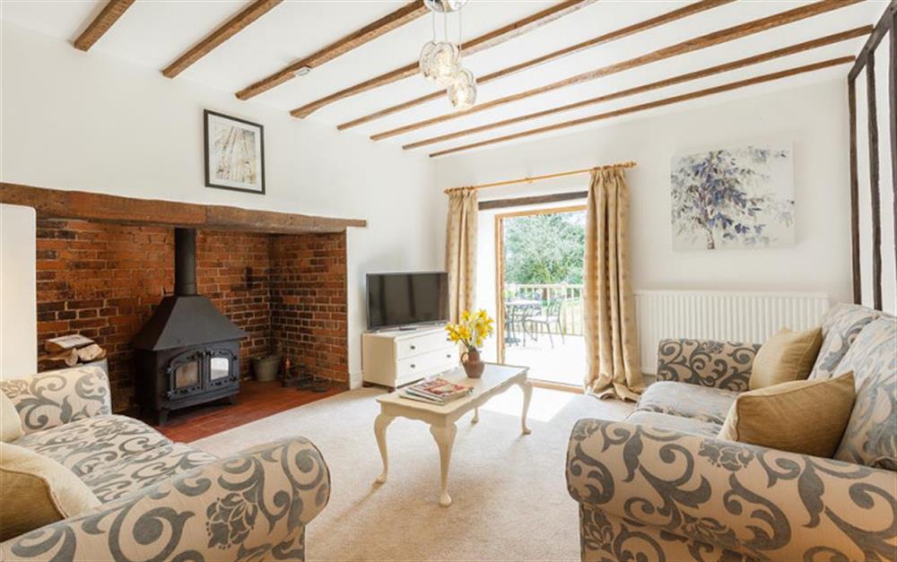 The living room with 2 sofas around the fire at Burrow Hill Cottage in Honiton
