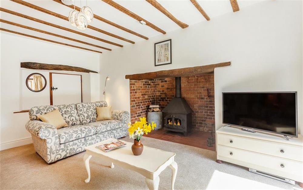 The living room with wonderful fireplace and flatscreen tv at Burrow Hill Cottage in Honiton
