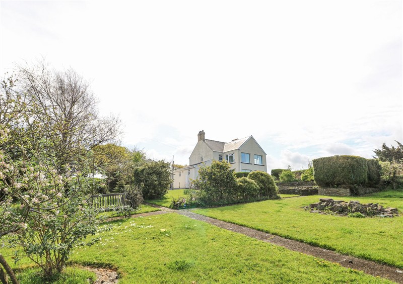 This is the garden at Burry House, Llanmorlais