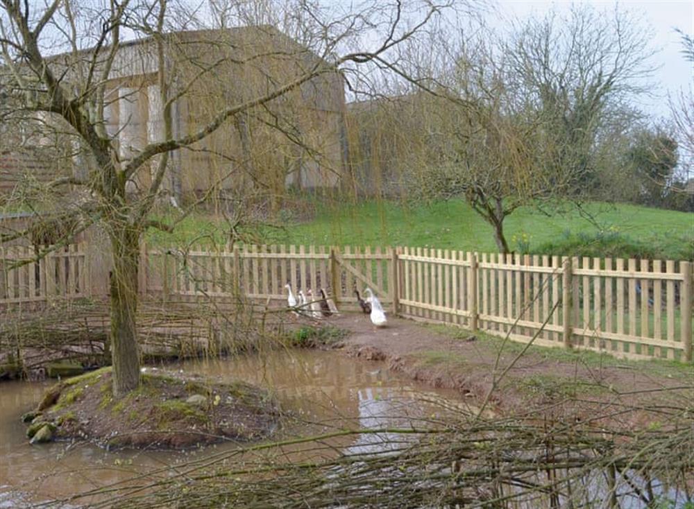Enclosed duck pond within grounds at The Mill House, 