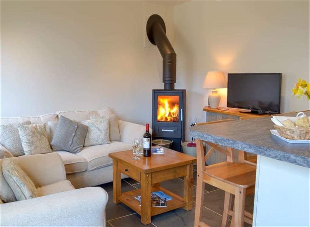 Open plan living space with wood burner at The Piggery, 