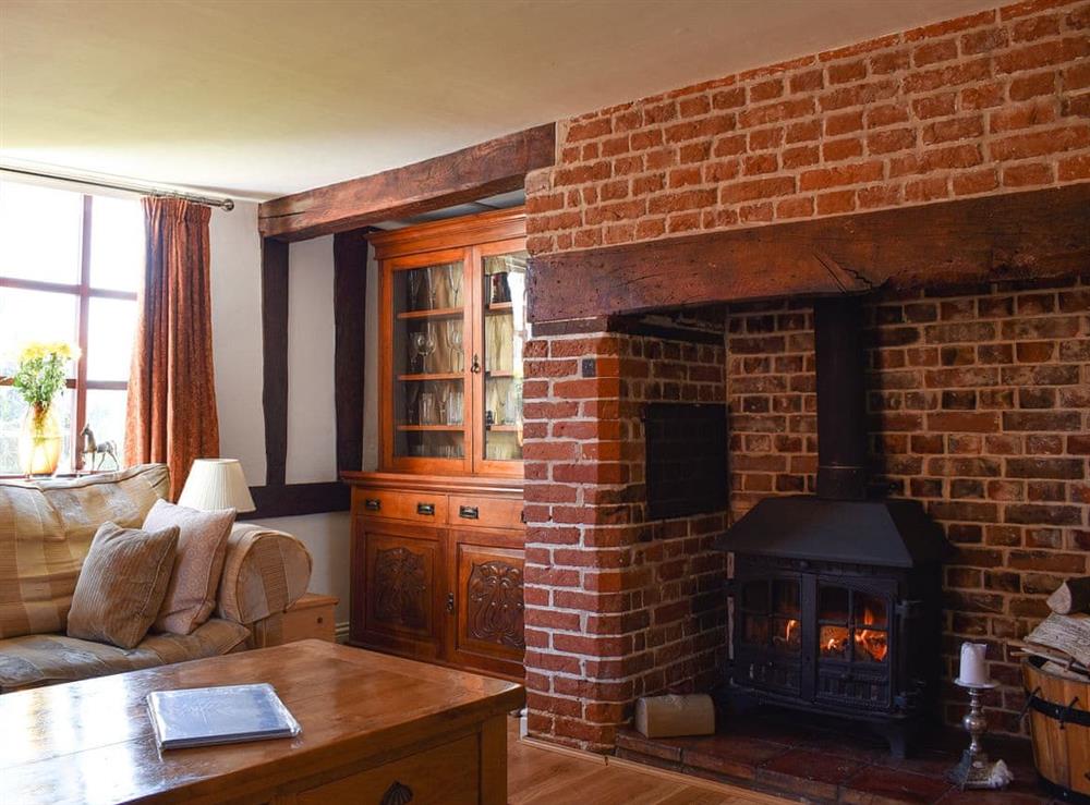 Living room with wood burner at Bushmaker Cottage in Diss, Norfolk