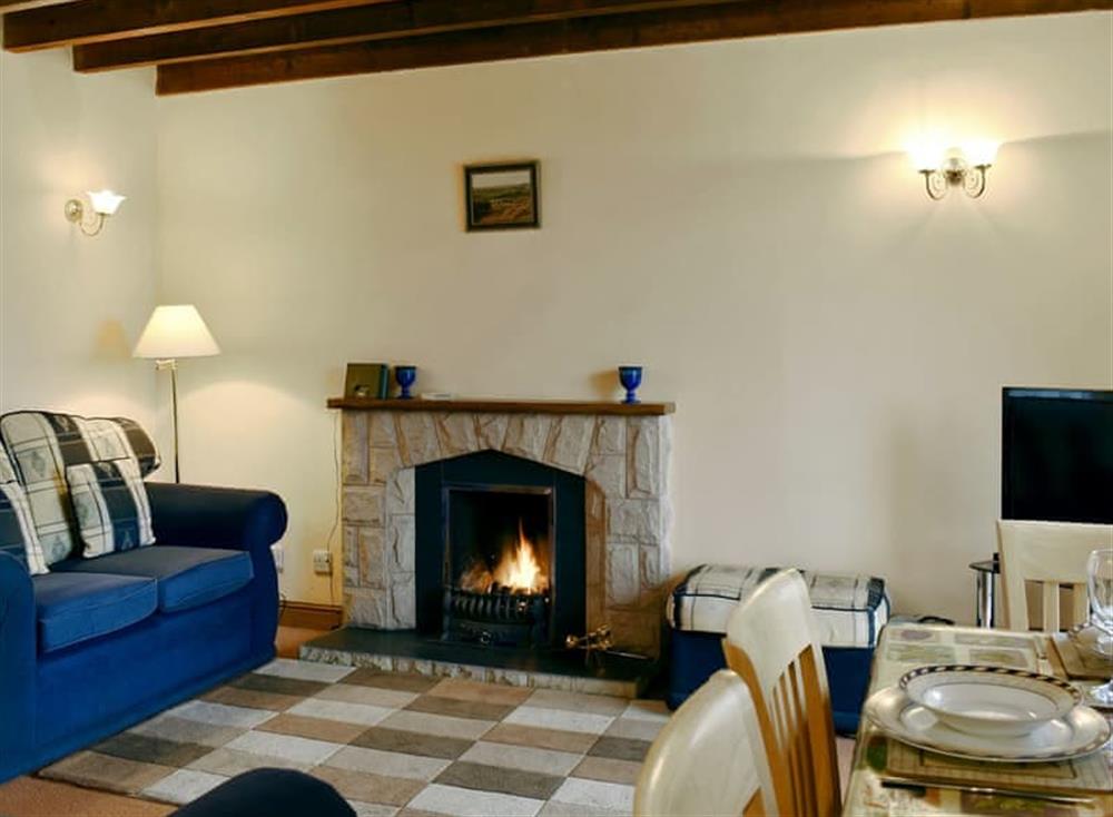 Delightful living area at Bushmill Cottage in East Bennan, Isle of Arran, Scotland