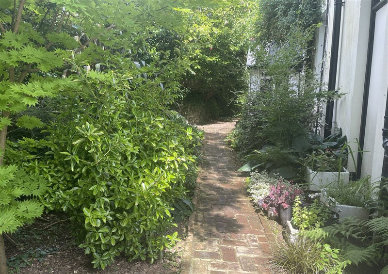 The garden in Butlers Loft at Butlers Loft, Par