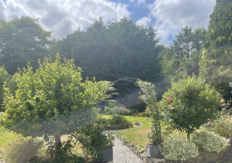 The garden at Butlers Loft, Par