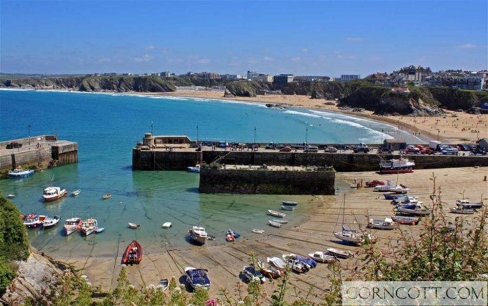 Newquay harbour and beaches at Buttercup in Bodmin