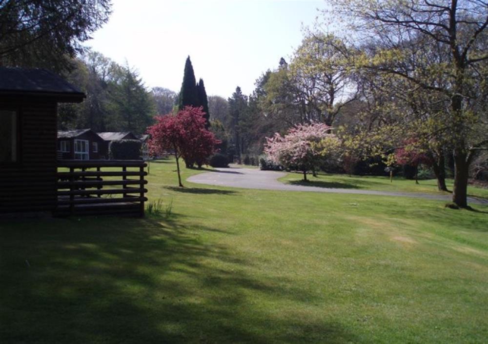 Pretty parkland on your doorstep at Buttercup in Bodmin