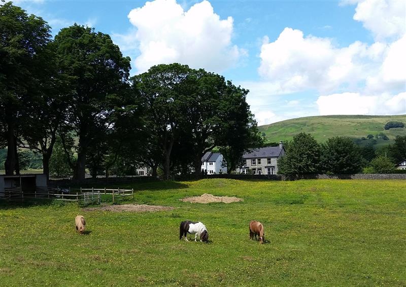 The setting around Buttercup Cottage