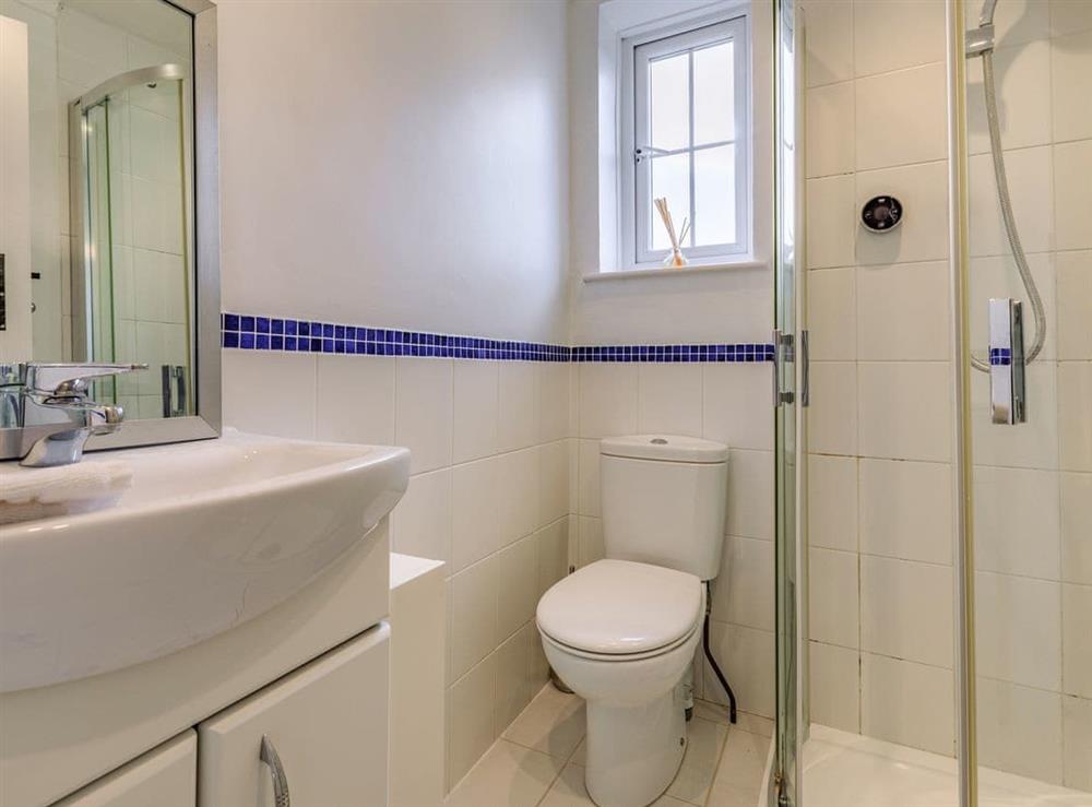 En-suite at Buttercup Cottage in Lower Halstock Leigh, near Yeovil, Dorset