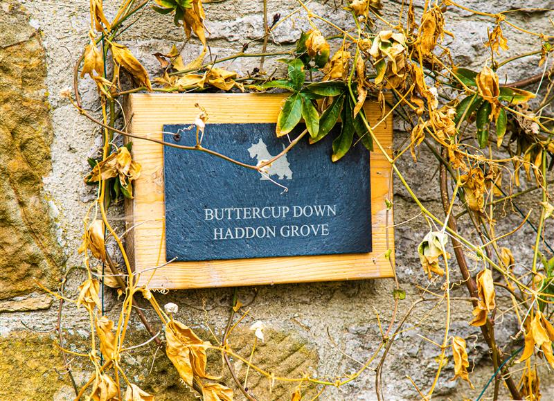 The garden in Buttercup Down at Buttercup Down, Over Haddon near Bakewell