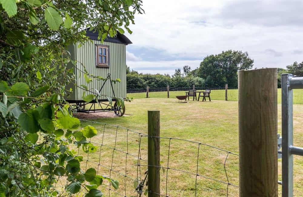 Enjoy the garden at Buttercup Hut in Chiddingly, East Sussex