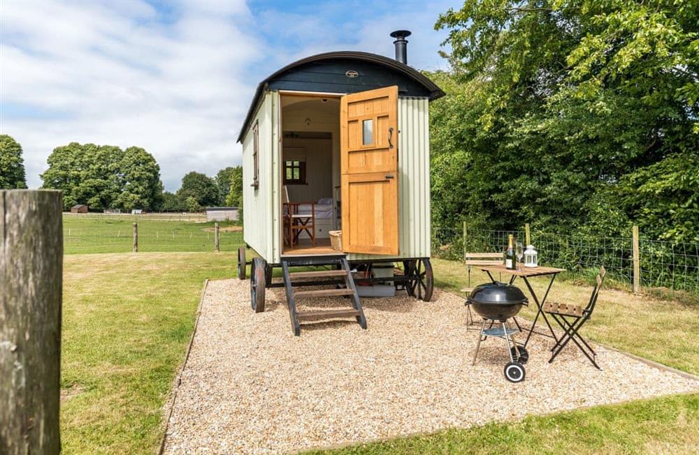 Outside at Buttercup Hut in Chiddingly, East Sussex