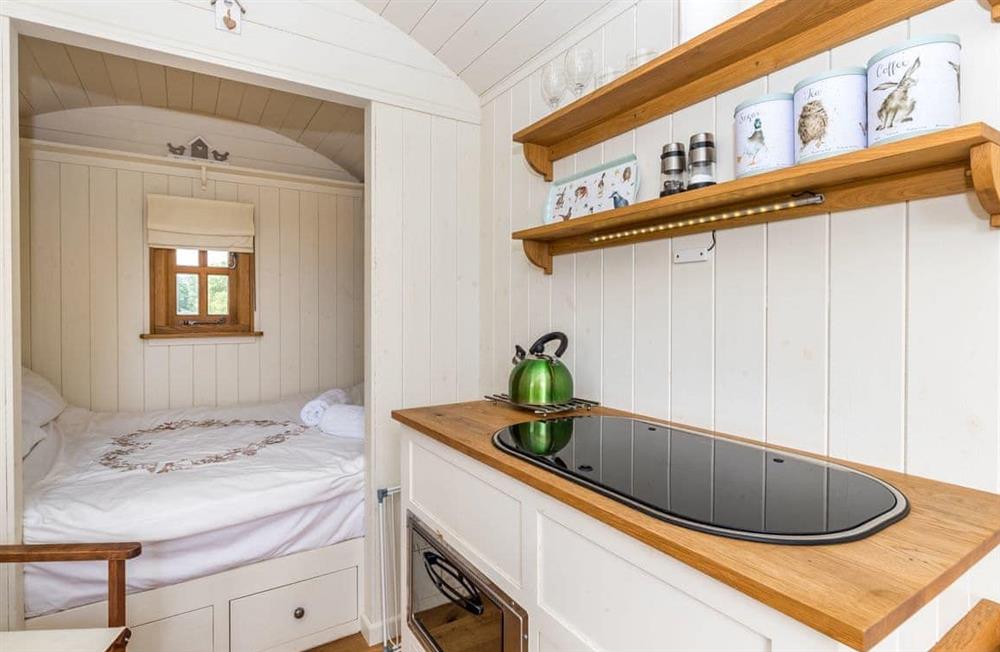 Photo of Buttercup Hut (photo 2) at Buttercup Hut in Chiddingly, East Sussex