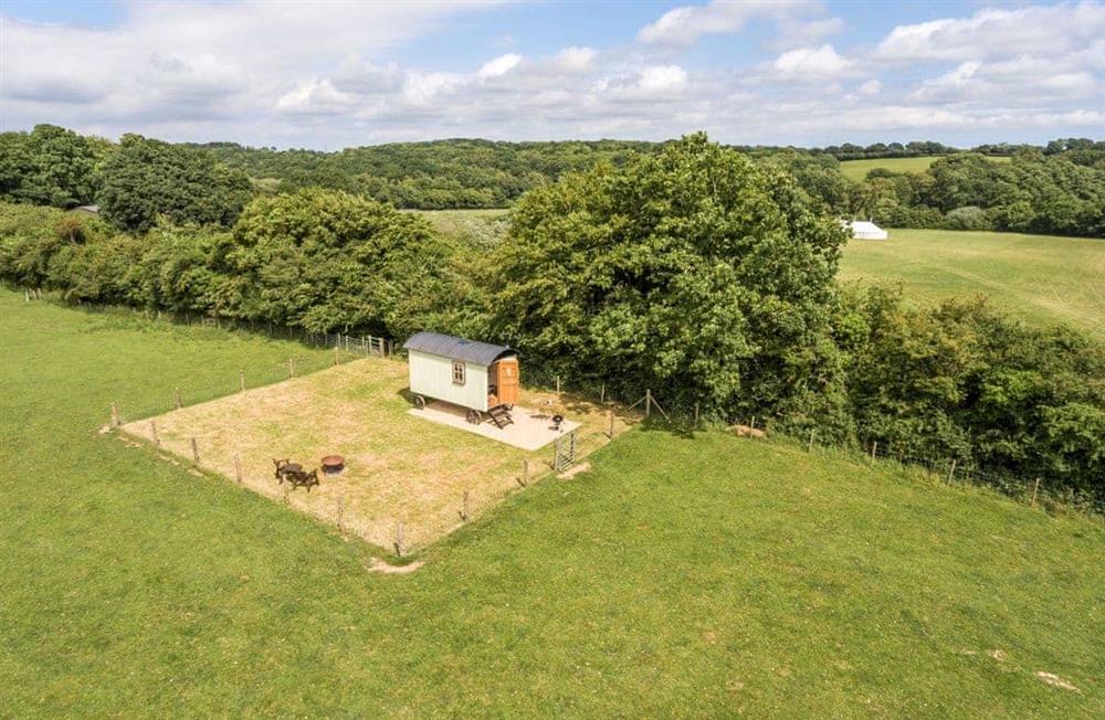 The area around Buttercup Hut at Buttercup Hut in Chiddingly, East Sussex