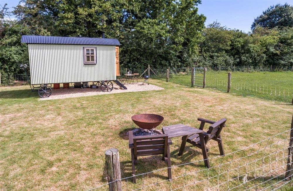 The garden in Buttercup Hut at Buttercup Hut in Chiddingly, East Sussex