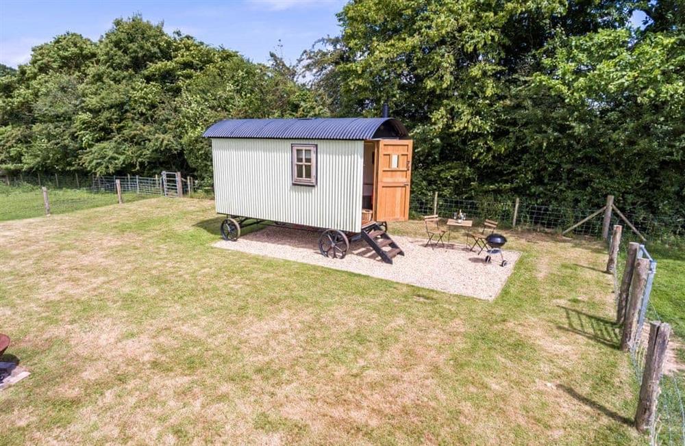 This is the garden at Buttercup Hut in Chiddingly, East Sussex